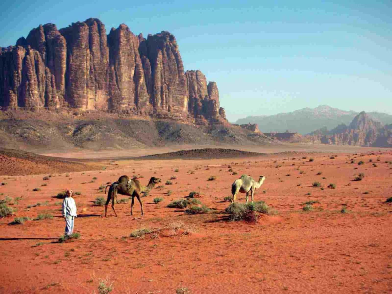 Ali wadi rum camp Hotel Bagian luar foto